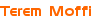 <p>Terem Moffi</p>